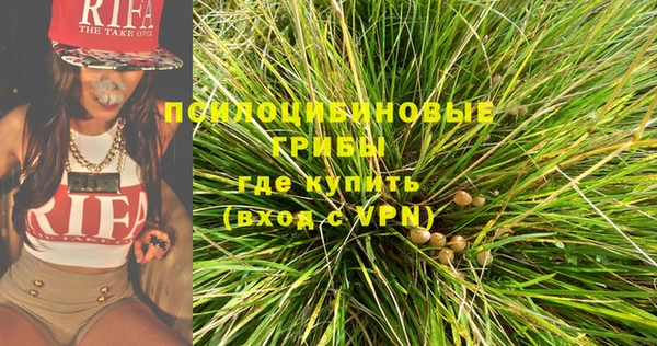 кокс Алзамай