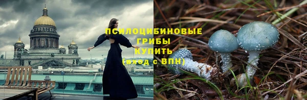 бутират Алексин