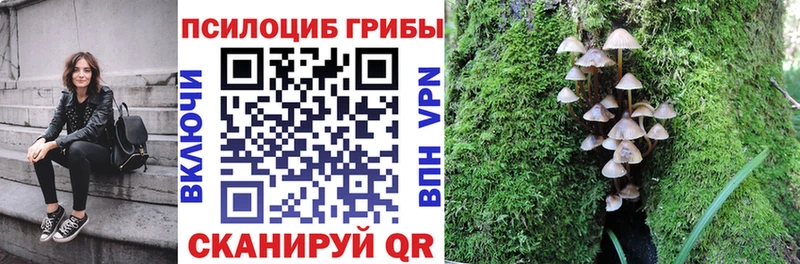 мега   где купить наркоту  Дудинка  Псилоцибиновые грибы мухоморы 